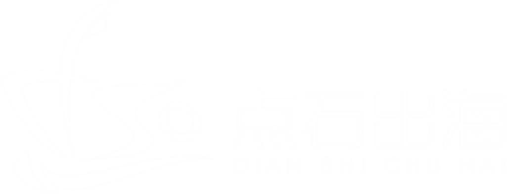 点石出海 Logo